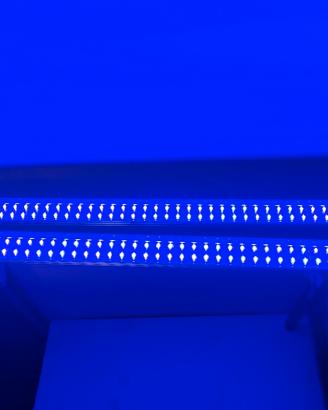 Newa 2 barre luce led attinica NLA953 marino