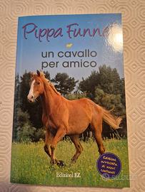 Un cavallo per amico