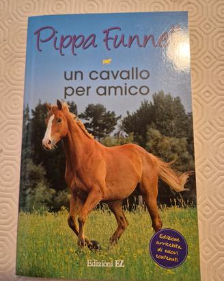 Un cavallo per amico