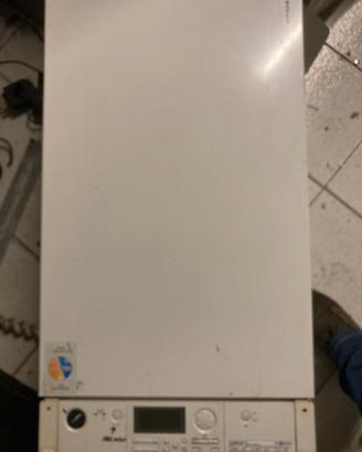 Caldaia Wiesman 200