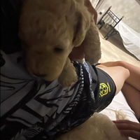 Ultimo cucciolo di barboncino toy