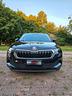 skoda-karoq-2-0-tdi-evo-scr-115-cv-dsg-executive