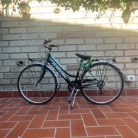 Bicicletta BRERA trendy