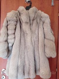 Pelliccia Volpe della Groenlandia