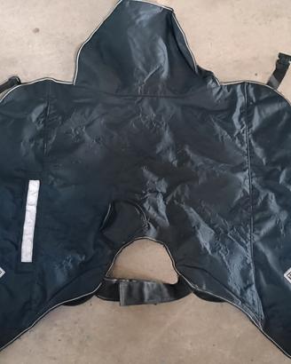 Paragambe Tucano originale