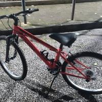 bicicletta 24