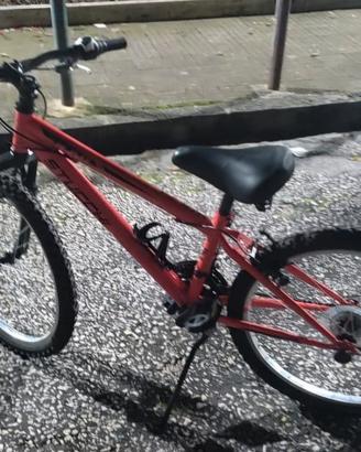 bicicletta 24