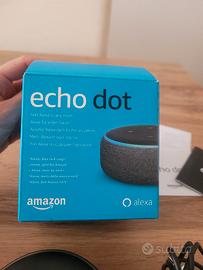 Echo dot alexa