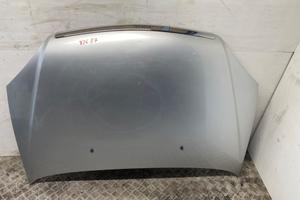 COFANO MOTORE TATA INDICA V2 2007 2008 ANTERIORE G