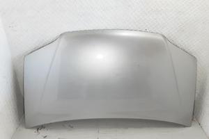 COFANO ANTERIORE FIAT Idea 1° Serie 199 A3.000 (0