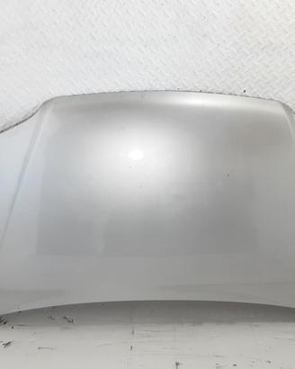 COFANO ANTERIORE FIAT Idea 1° Serie 199 A3.000 (0