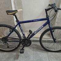 Bicicletta con cambio