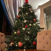 Albero di natale 2,80mt