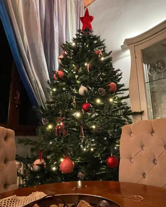 Albero di natale 2,80mt