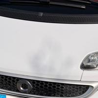 Smart 451 leggi