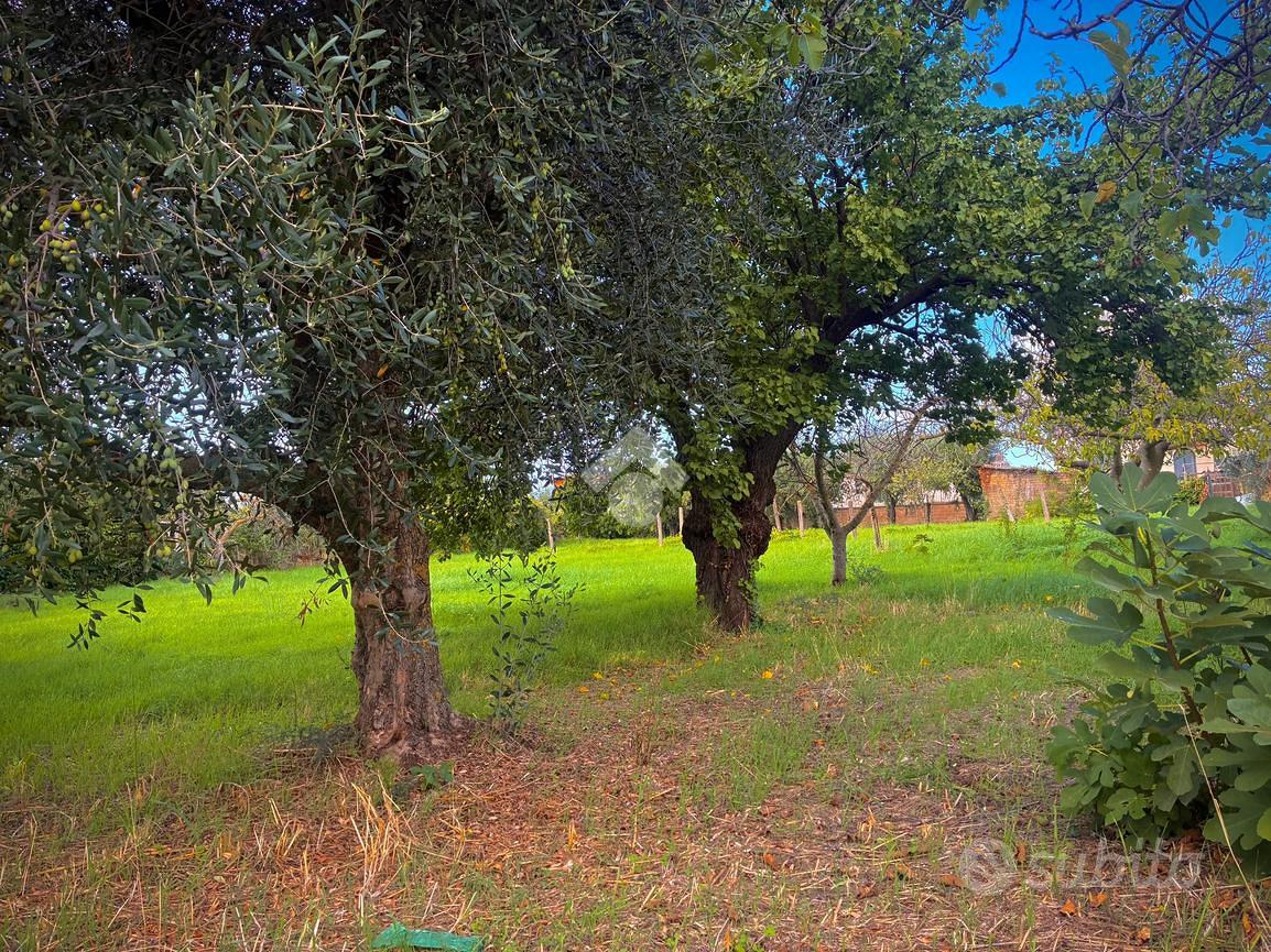 TER. RESIDENZIALE A ALBANO LAZIALE - Vista 4
