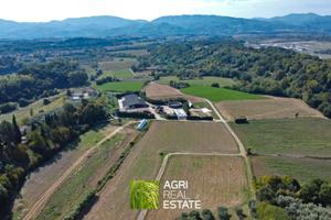 Azienda Agricola Zootecnica da latte di 30 ettari