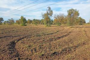 Terreno agricolo Strada Comunale Cazzati, Novoli