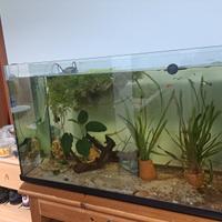 acquario 200 litri completo 