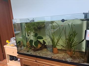 acquario 200 litri completo 