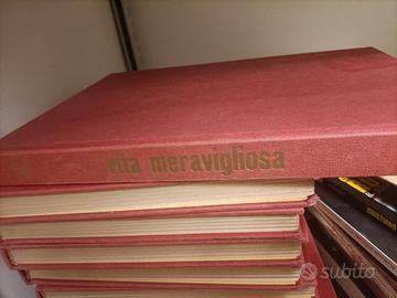 Enciclopedia Vita meravigliosa 