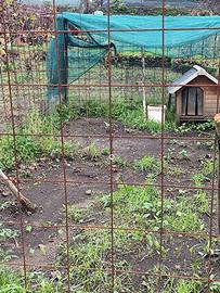 terreno  per ricovero cani