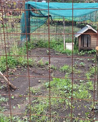 terreno  per ricovero cani