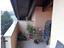 Immagine 16