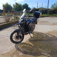 MOTRON X NORD 125