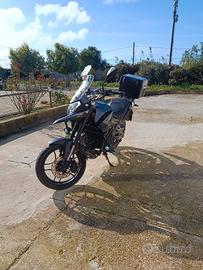 MOTRON X NORD 125