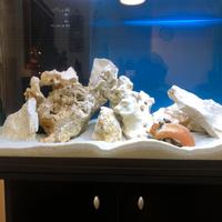 Acquario Ferplast