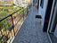 Immagine 15