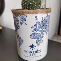 Vaso bottiglia gin Nordes con pianta grassa