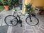 Immagine 2