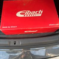 Molle sportive Eibach ribassate originali