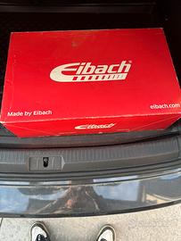 Molle sportive Eibach ribassate originali