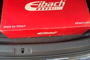 Molle sportive Eibach ribassate originali