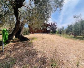 Annesso agric a - DonoraticoCastagneto Carducci