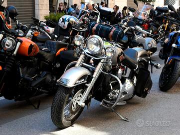 Harley Davidson Softail Heritage 1340 