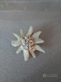 pin spilla edelweiss 