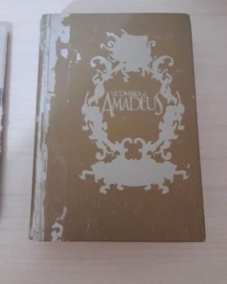 Libro L'ombra di Amadeus di p.d. Baccalario i ediz