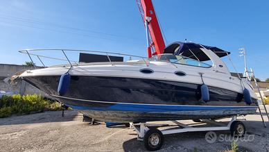 SEA RAY 315 sundancer