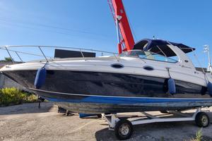 SEA RAY 315 sundancer