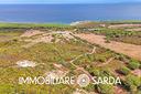 tenuta-di-31ha-a-pochi-passi-dal-mare-vignola-a