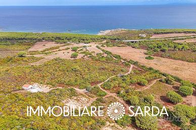 Tenuta di 31ha a pochi passi dal mare | Vignola a