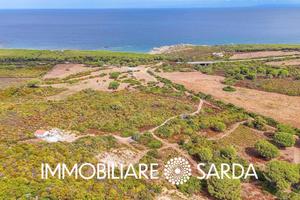 Tenuta di 31ha a pochi passi dal mare | Vignola a