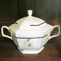 Servizio piatti porcellana