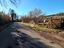 Immagine 12