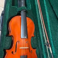 Violino