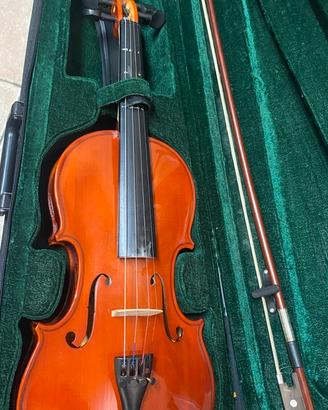 Violino